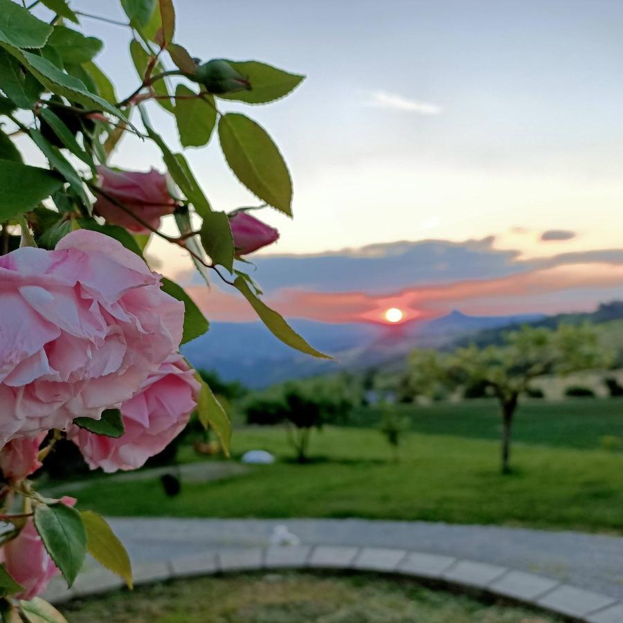 Agriturismo La Casetta - Ospitalita Rurale Familiare Montese ภายนอก รูปภาพ
