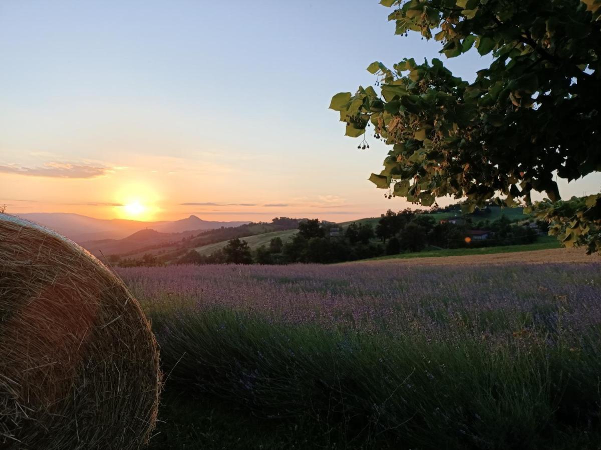 Agriturismo La Casetta - Ospitalita Rurale Familiare Montese ภายนอก รูปภาพ