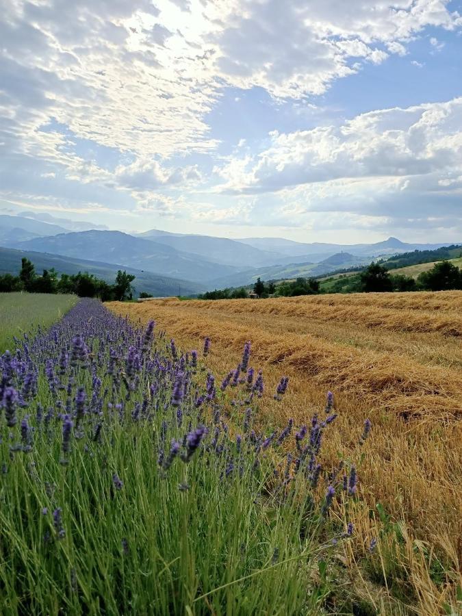 Agriturismo La Casetta - Ospitalita Rurale Familiare Montese ภายนอก รูปภาพ