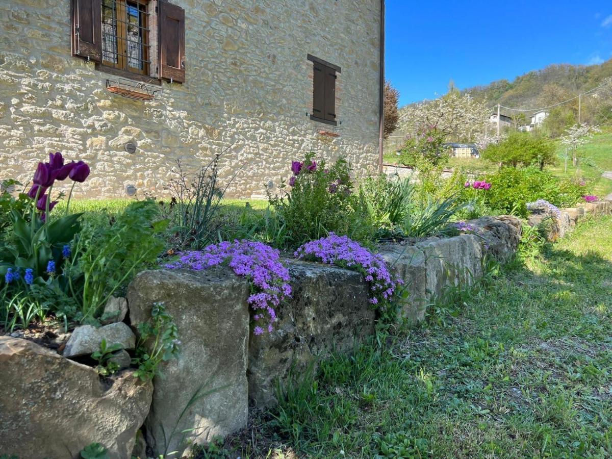 Agriturismo La Casetta - Ospitalita Rurale Familiare Montese ภายนอก รูปภาพ